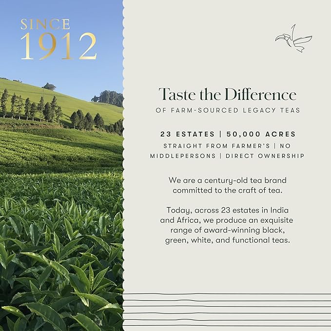 Luxmi Estates - Orange Spice - Organic Black Darjeeling Tea - 50 Tea Bags| Limited Fall Tea | Special Edition Autumn Tea | Smooth, Flavorful, Robust and Caffeinated